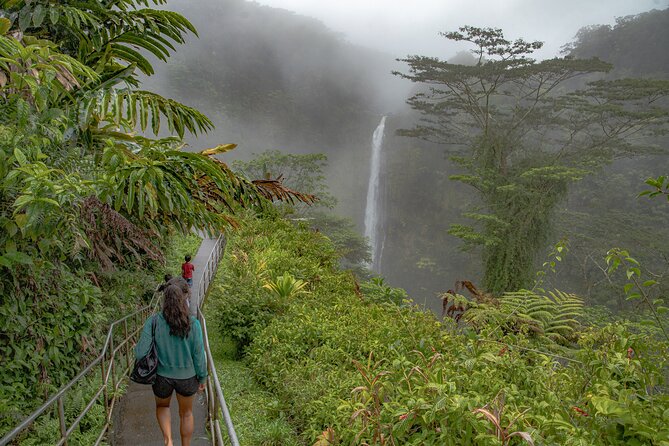 Private - All Inclusive Big Island Waterfalls Tour - Viewing Waipio Valley from the Overlook
