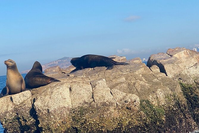 Private All Inclusive Snorkeling Experience in Mazatlan - Practical Tips for the Tour