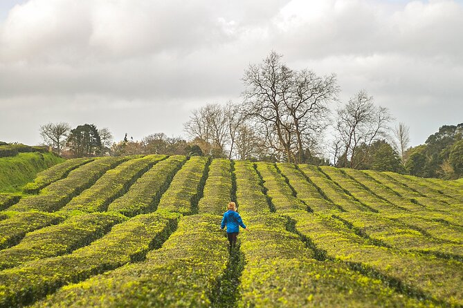 Private - All of Furnas, Tea Plantation, ticket to Beija included - Scenic Viewpoints: Pico do Ferro and Miradouro de Santa Iria