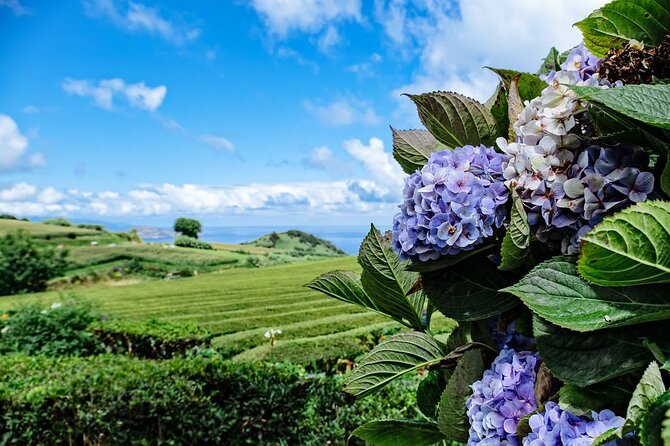 Private - All of Furnas, Tea Plantation, ticket to Beija included - Local Delicacies and Optional Lunch