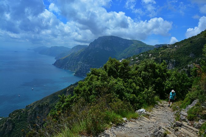 Private Amalfi Coast Tour with Path of the Gods - Uncover the Beauty of the Amalfi Coast for $355.38