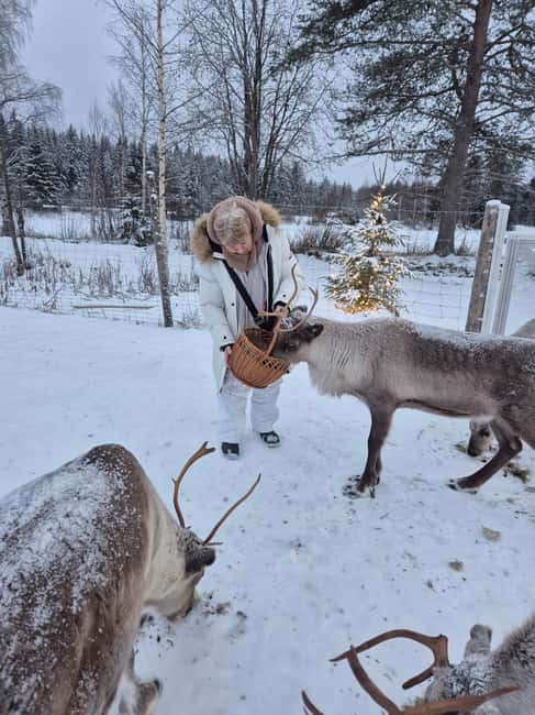 Private and authentic reindeer experience in homefarm - Practical Details: Booking, Flexibility, and Group Size