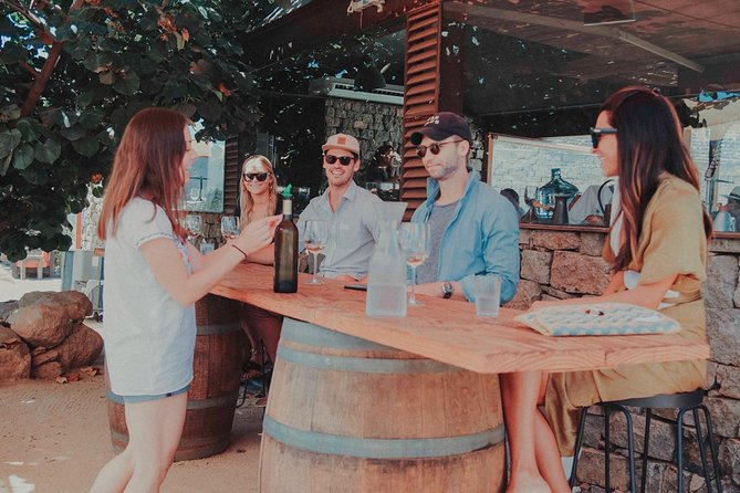 Private and custom group Wine tour Valle de Guadalupe - The Stops and Wineries: What to Expect