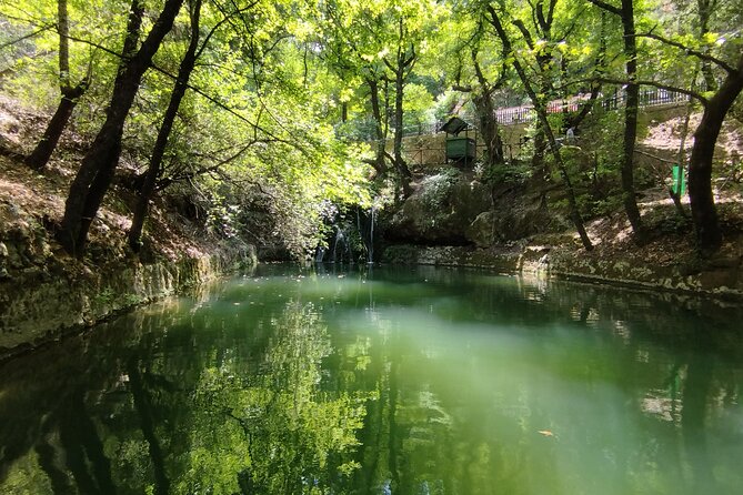 Private and Customized Sightseeing Tour of Rhodes - Relaxing at Kallithea Springs
