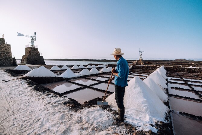 Private and Guided Tour to the Salinas de Janubio with Tasting - The Unique Setting of Salinas de Janubio