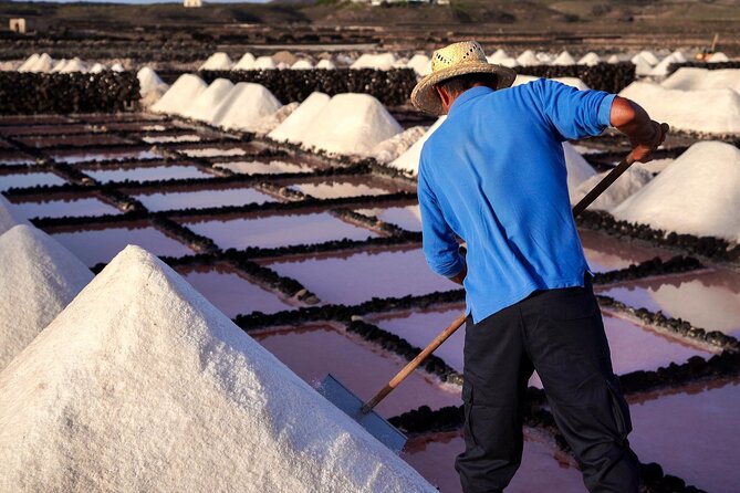 Private and Guided Tour to the Salinas de Janubio with Tasting - Who Should Consider This Tour?