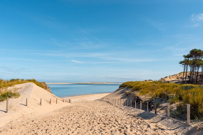 Private Arcachon Full-Day tour, from Bordeaux - Departing from Bordeaux for an Authentic Coastal Experience