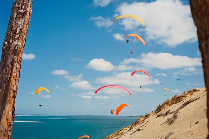 Private Arcachon Full-Day tour, from Bordeaux - Climbing the Dune for Spectacular Panoramic Views