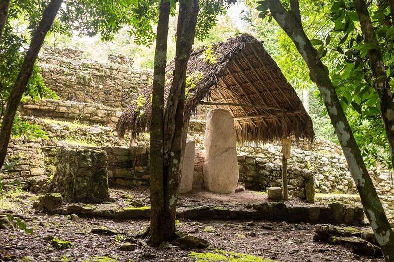 Private Archaeological Excursion to Tulum and Coba with Cenote from Cancun - Comfortable Transportation and Hotel Pickup Convenience