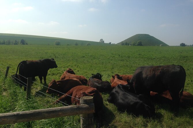 Private Archaeologist Guided Tour Stonehenge, Salisbury & Avebury - Salisbury Cathedral and the Magna Carta Legacy