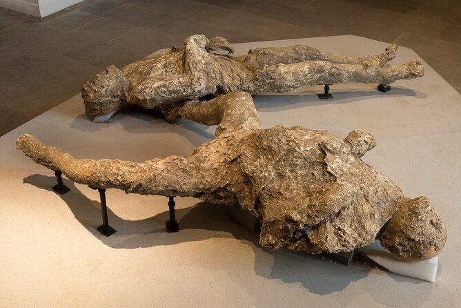 Private Archaeologist service to explore Pompeii's secrets any time ticket incl. - What’s Included in the Ticket Price