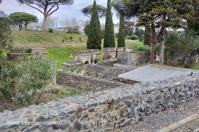 Private Archaeologist service to explore Pompeii's secrets any time ticket incl. - The Expertise of Your Archaeologist Guide