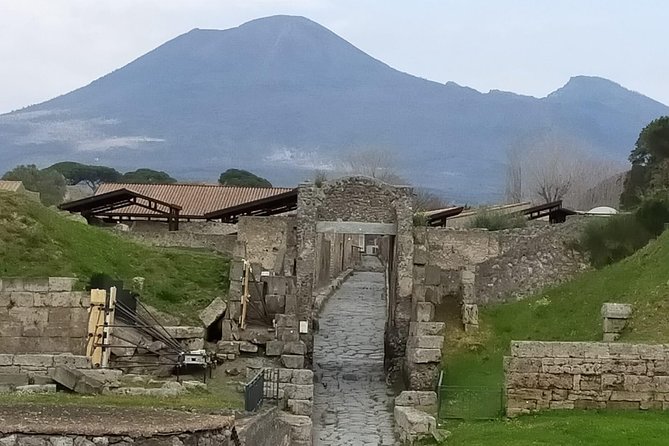 Private Archaeologist service to explore Pompeii's secrets any time ticket incl. - Who Should Book This Pompeii Tour