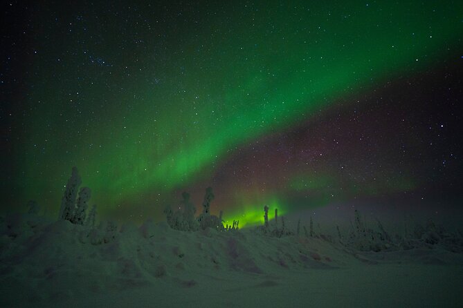 Private Arctic Circle Expedition from Fairbanks - Scenic Highlights: Mountain Passes and River Views