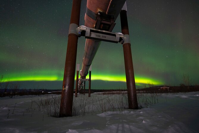 Private Arctic Circle Expedition from Fairbanks - Aurora Viewing: The Chance to See the Northern Lights