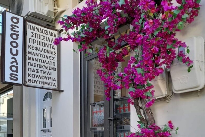 Private Argostoli Walking Experience - Practicalities and Accessibility