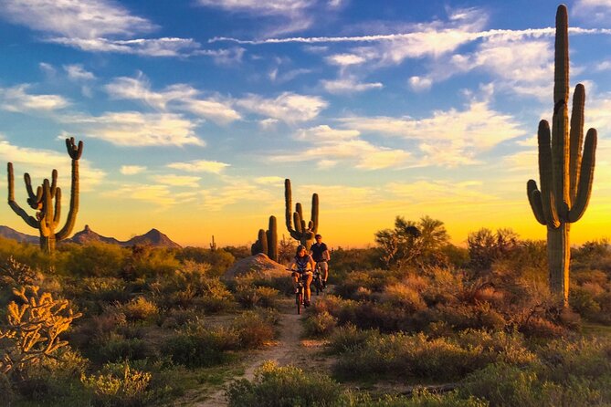 Private Arizona Desert Guided E-bike Adventure - Why Choose a Private Guided E-bike Tour?