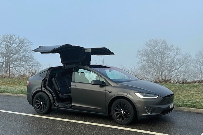 Private Arrival Transfer: from Geneva Airport to Interlaken - Efficient and Luxurious Private Transfer from Geneva Airport to Interlaken