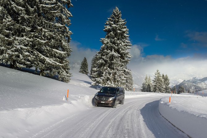 Private Arrival Transfer: from Zurich Airport to Flims - Easy and Comfortable Private Transfer from Zurich Airport to Flims for Up to 3 People