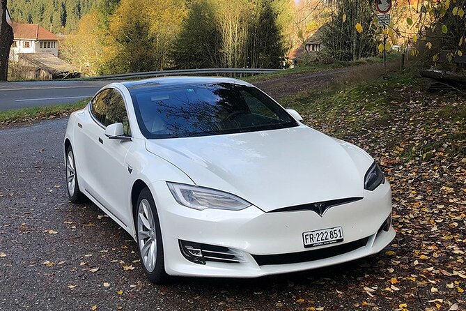 Private Arrival Transfer: from Zurich Airport to Lucerne - The Vehicle Fleet and Comfort Features