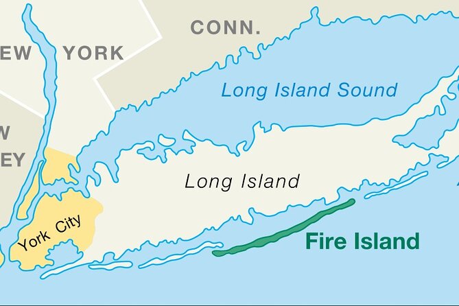 Private Arrival Transfer: NYC Airports (JFK) (LGA) to Long Island - The Pickup Experience and Customer Support