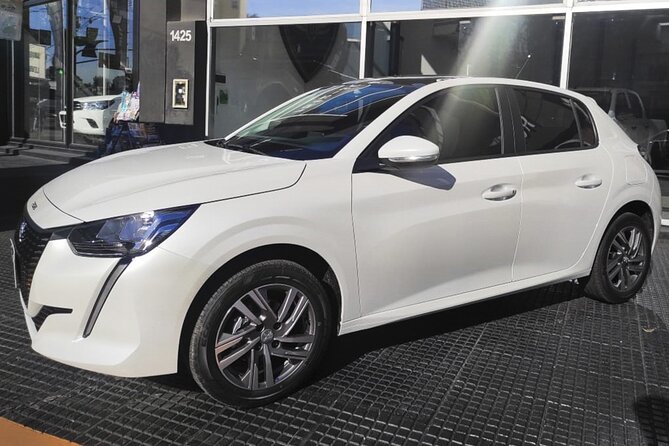 Private Arrival Transfer: Rome Fiumicino Airport to Hotel - Flexible Drop-off Locations in Rome