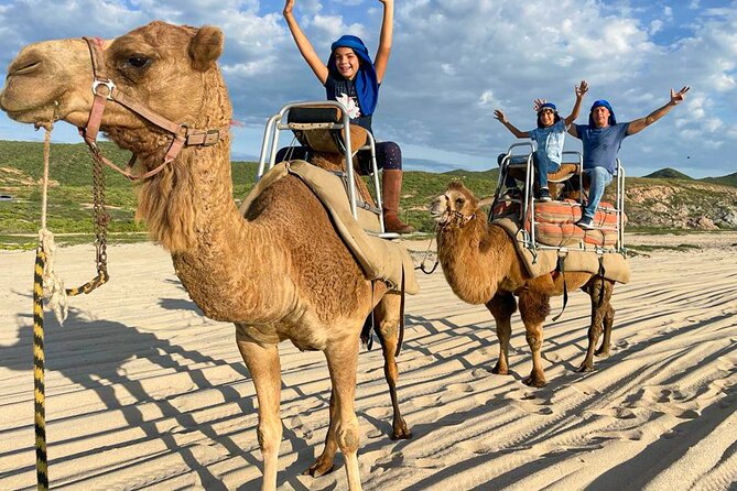 Private ATV and Camel Ride on a White Sand Beach - Discover the Only Private Camel and ATV Experience in Cabo San Lucas for $160