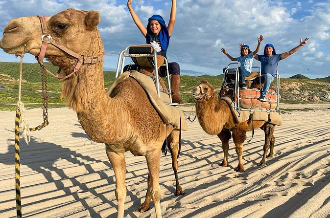 Private ATV and Camel Ride on a White Sand Beach - Encounter and Ride with the Gentle Camels on White Sand Beaches