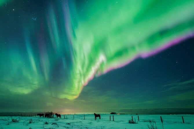 Private Aurora Hunt with Photos in Super Defender - Booking, Payment, and Cancellation Policies