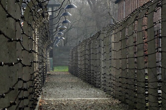 Private Auschwitz-Birkenau and Salt Mine Tour from Krakow - Comfort and Convenience with Private Transport