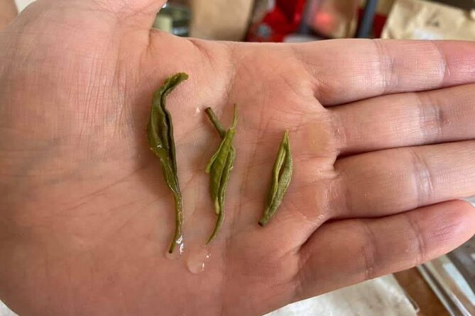 Private Authentic Tea Experience in Prague - Brewing Techniques: Mastering Temperature and Steeping Time