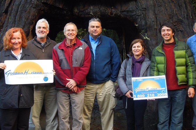 Private Avenue of the Giants Redwoods Day Trip from San Francisco - Exploring Humboldt Redwoods State Park and Founders Grove