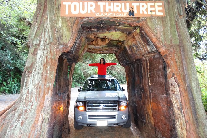 Private Avenue of the Giants Redwoods Day Trip from San Francisco - The Convenience of Private & All-Inclusive Travel