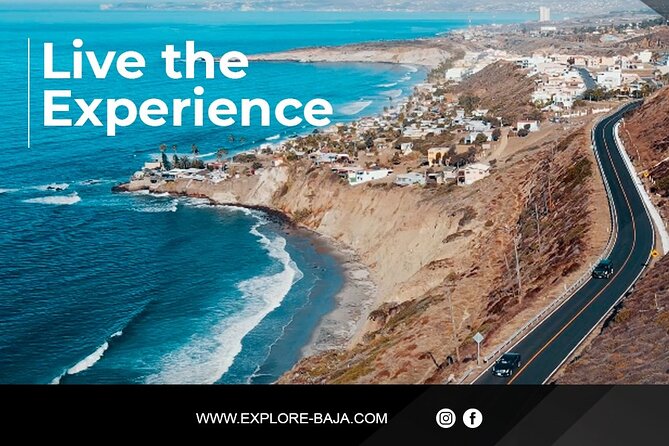 PRIVATE BAJA WINERIES EXPERIENCE (Transportation,concierge,custom schedule) - Explore the Best of Guadalupe Valley with a Private Baja Wineries Tour