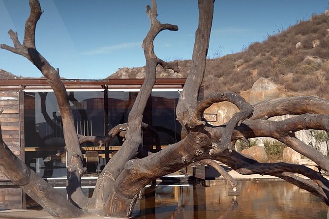 PRIVATE BAJA WINERIES EXPERIENCE (Transportation,concierge,custom schedule) - Music and Festivities with a Live DJ