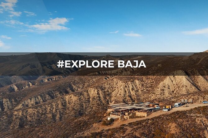 PRIVATE BAJA WINERIES EXPERIENCE (Transportation,concierge,custom schedule) - Hassle-Free Transportation and Pickup Arrangements