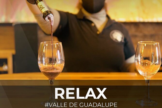 PRIVATE BAJA WINERIES EXPERIENCE (Transportation,concierge,custom schedule) - Custom Schedule and Flexibility