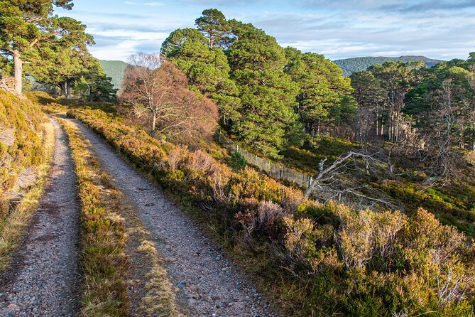 Private Balmoral Walking Tour to Queens Secret Cabin & the Castle - Admiring the Historic Falls of Garbh Allt and the Iron Bridge