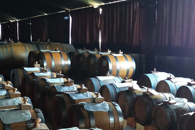 Private Balsamic vinegar & Parmigiano Reggiano factory visits - Key Points