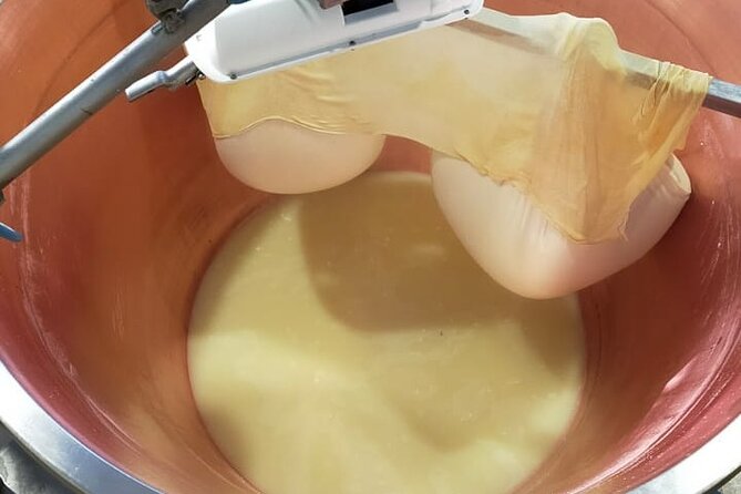 Private Balsamic vinegar & Parmigiano Reggiano factory visits - The Value and Limitations of the Experience