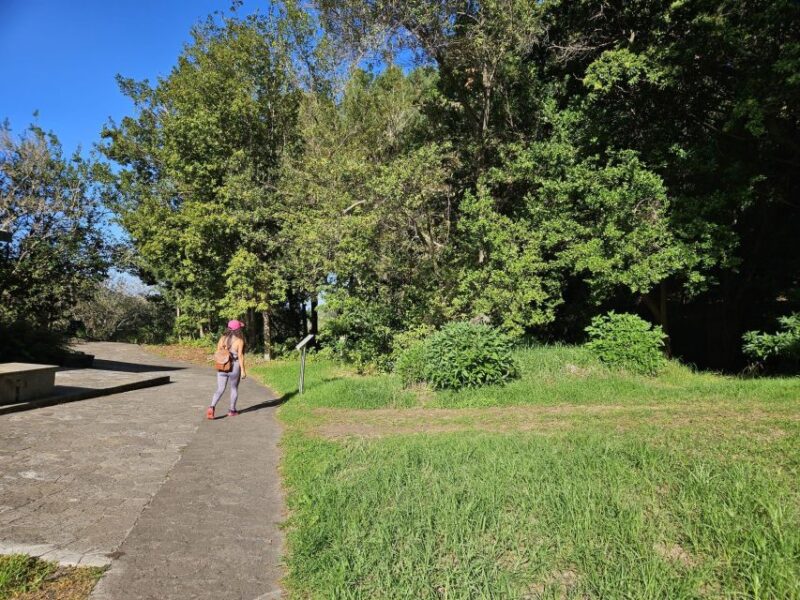 Private Bandama Caldera, Botanic Garden(/Wine*), Old Town - Who Would Enjoy This Tour Most?