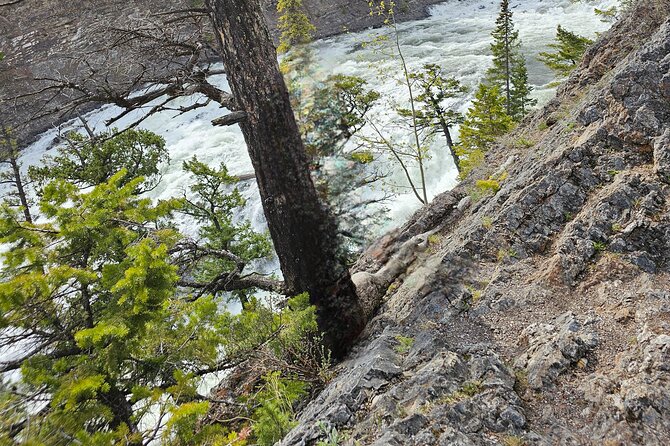 Private Banff Tours - Visiting Lake Louises Iconic Turquoise Waters