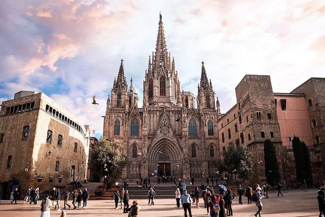 Private Barcelona Walking Tour & Wine Tasting + Tapas Dinner - Convenient Logistics and Personalized Service