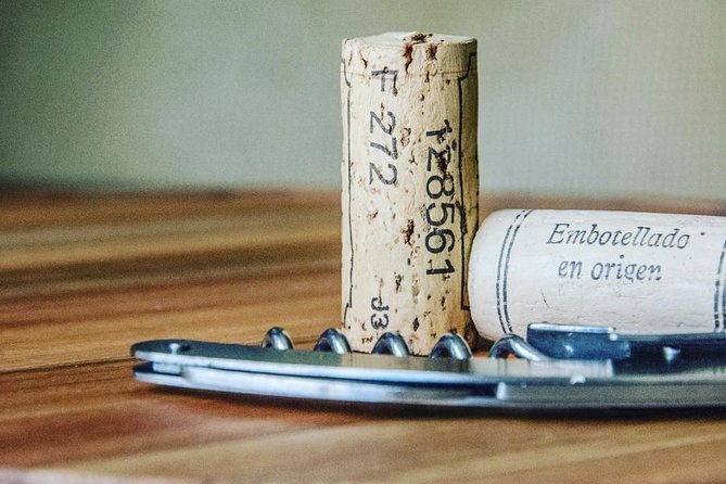 Private Barcelona Walking Tour & Wine Tasting + Tapas Dinner - Who Will Enjoy This Tour Most?