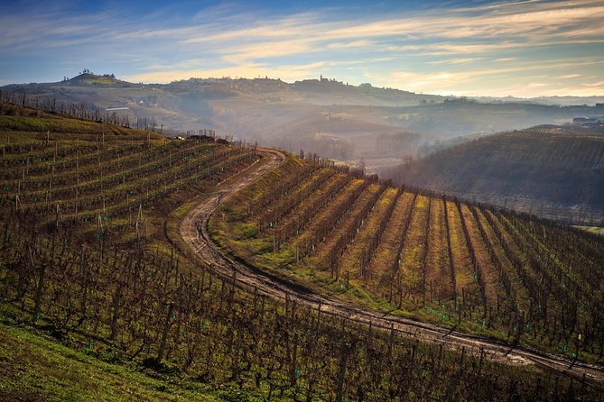 Private Barolo / Barbaresco - Piedmont Wine Tours and Tastings - Sampling the Finest Wines of Piedmont