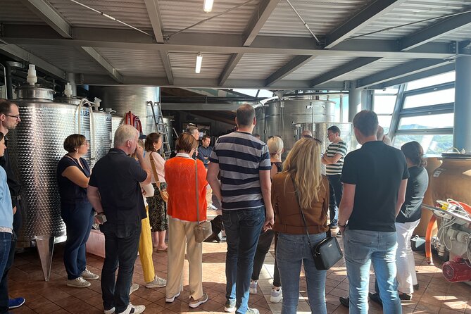 Private Barolo Wine Tour with Winemaker - Key Points