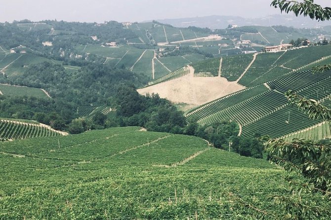 Private Barolo Wine Tour with Winemaker from Turin - Starting from Turin: A scenic journey through Langhes vineyards