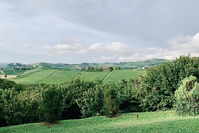 Private Barolo Wine Tour with Winemaker from Turin - Why this tour stands out among Piedmont wine experiences