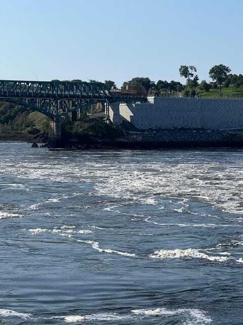 Private Bay of Fundy and City Highlights Tour up to 7 - The Guide Experience and Variability