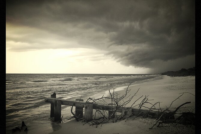 Private Beach or Sunset Boat Tour In Naples Florida - Meeting Point and Ease of Booking